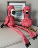 Flamingoes