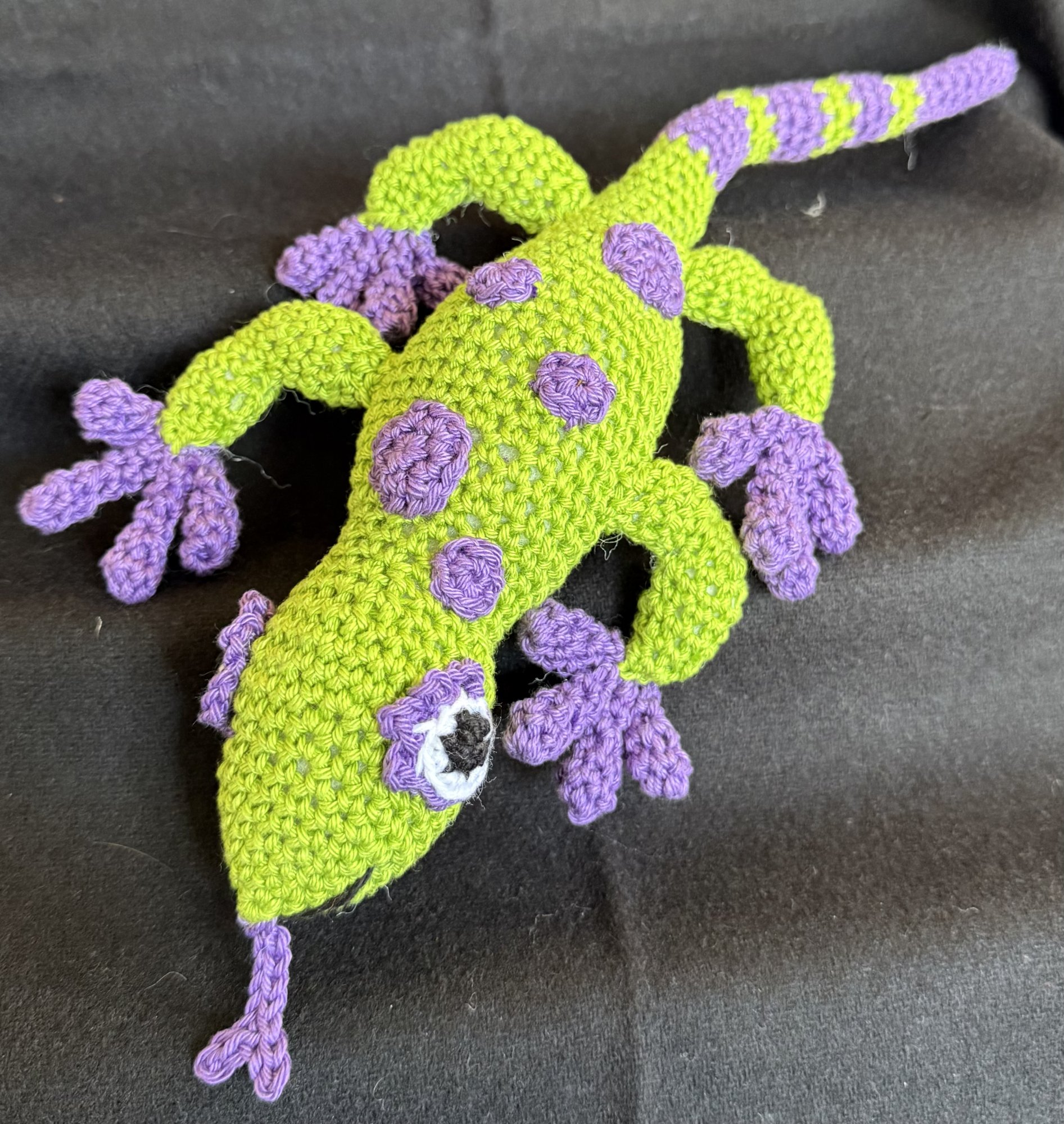 Geko