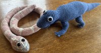 Snake and Lizard