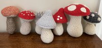 Fungi